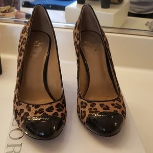 Ann Taylor heals